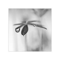 soulag�e par l'eau