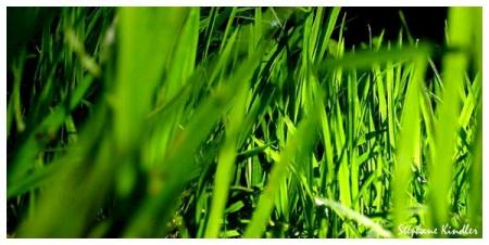 associations de proverbes