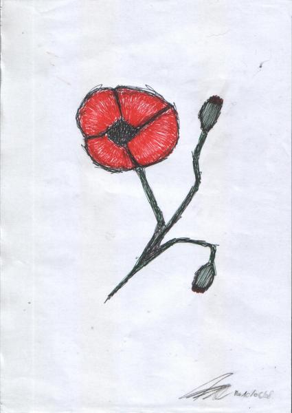 Coquelicot