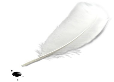 histoire de paroli�re